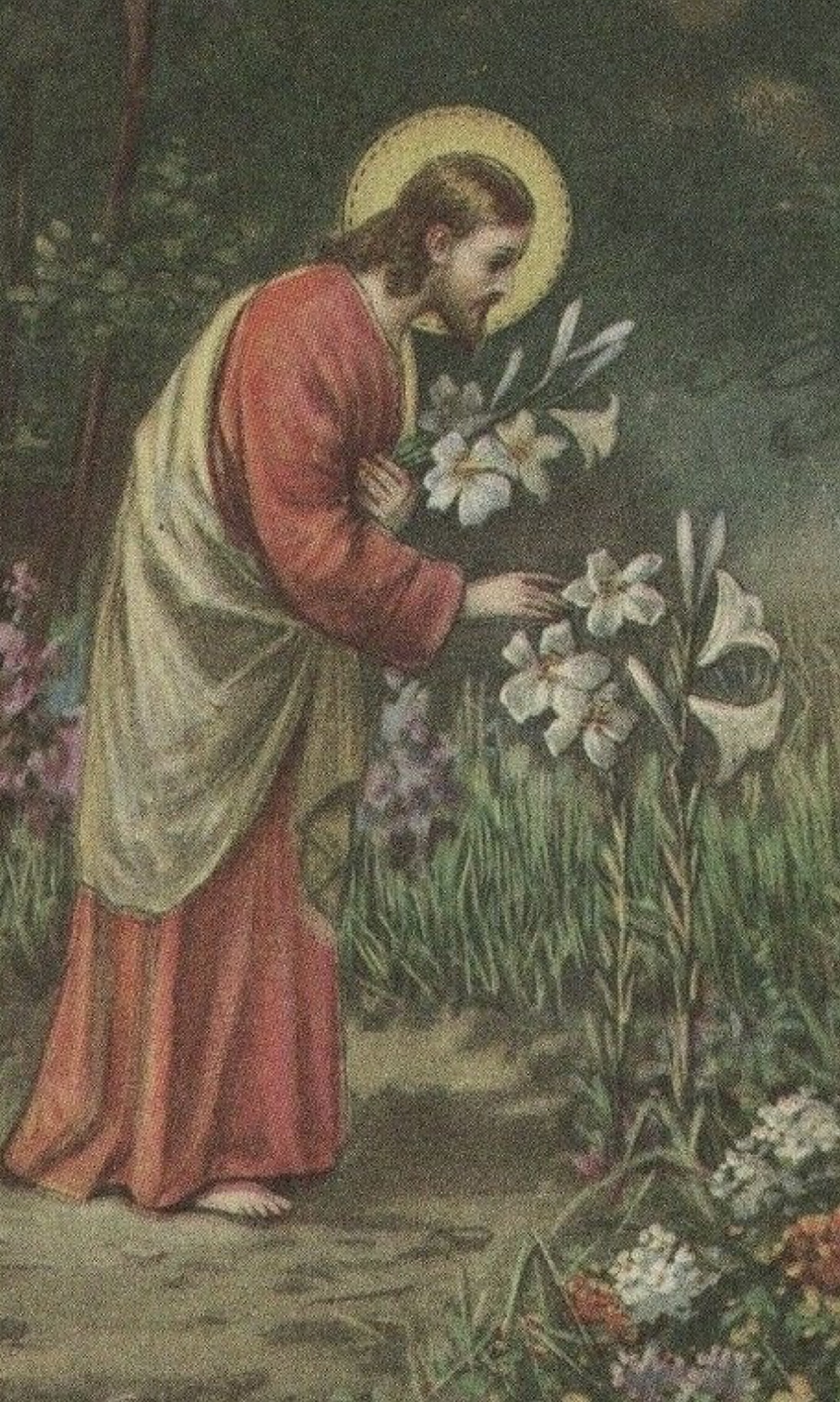 flowers